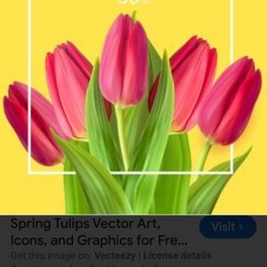 IT'S A SPRING THING!